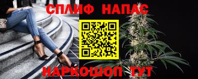 spice Будённовск