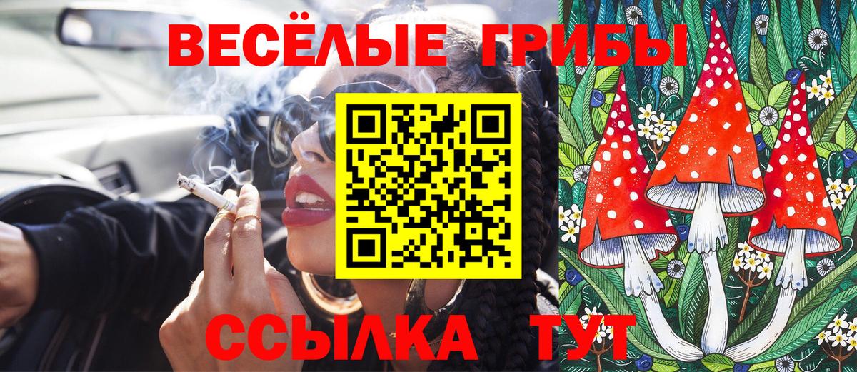 Галлюциногенные грибы GOLDEN TEACHER  Галлюциногенные грибы мицелий  Вход с VPN  Назарово 